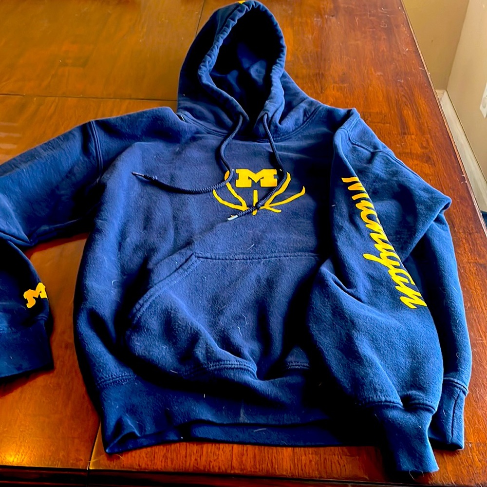 Michigan basketball logo hoodie
